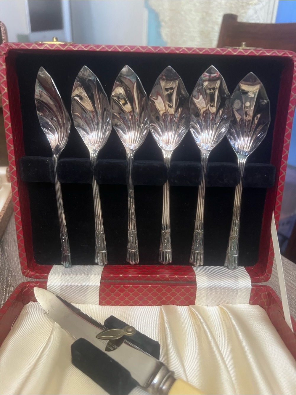 Decorative Dessert Silver Spoon Set - Leaf Pattern (6 pcs)